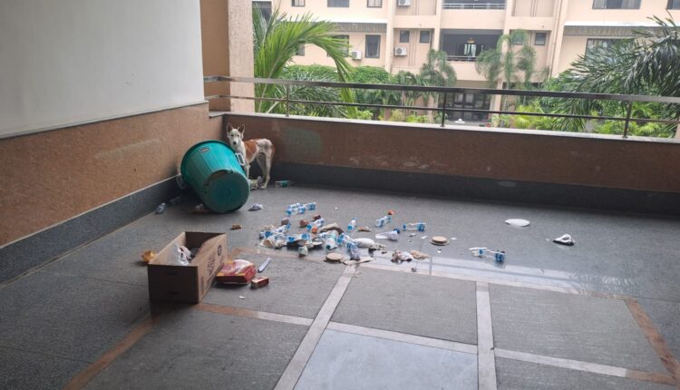 Garbage on first floor of Collectorate